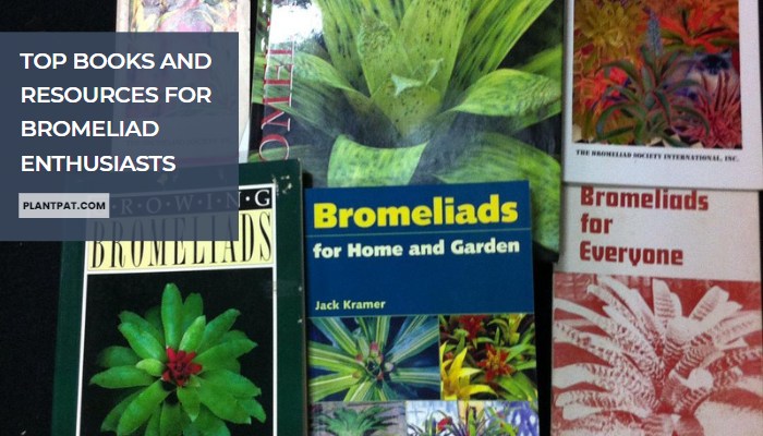 Top Books And Resources For Bromeliad Enthusiasts